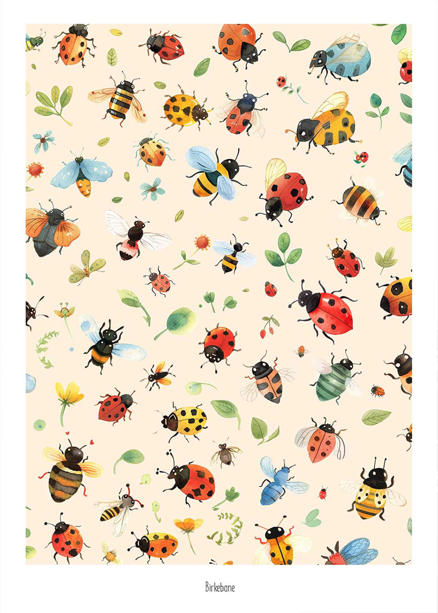 Insekter