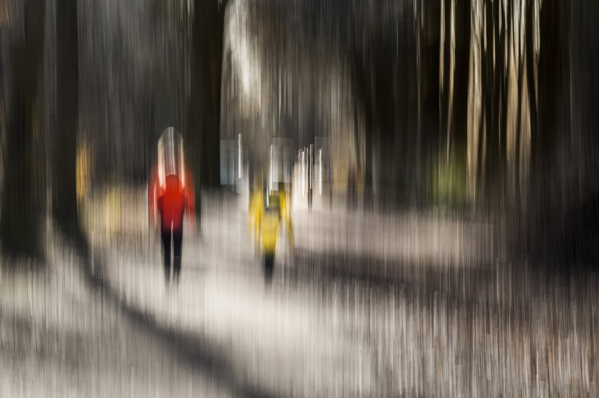 Walk in the Forest