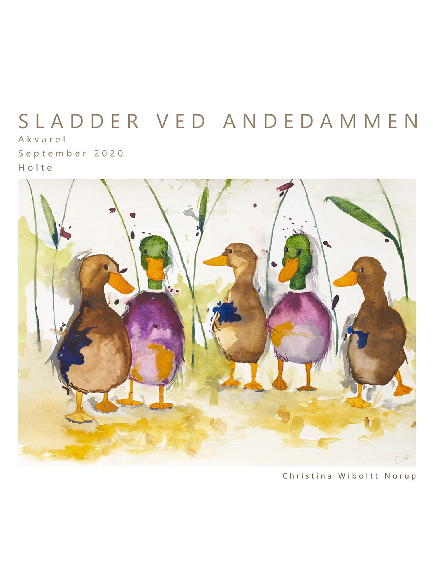 Sladder ved andedammen no. 2