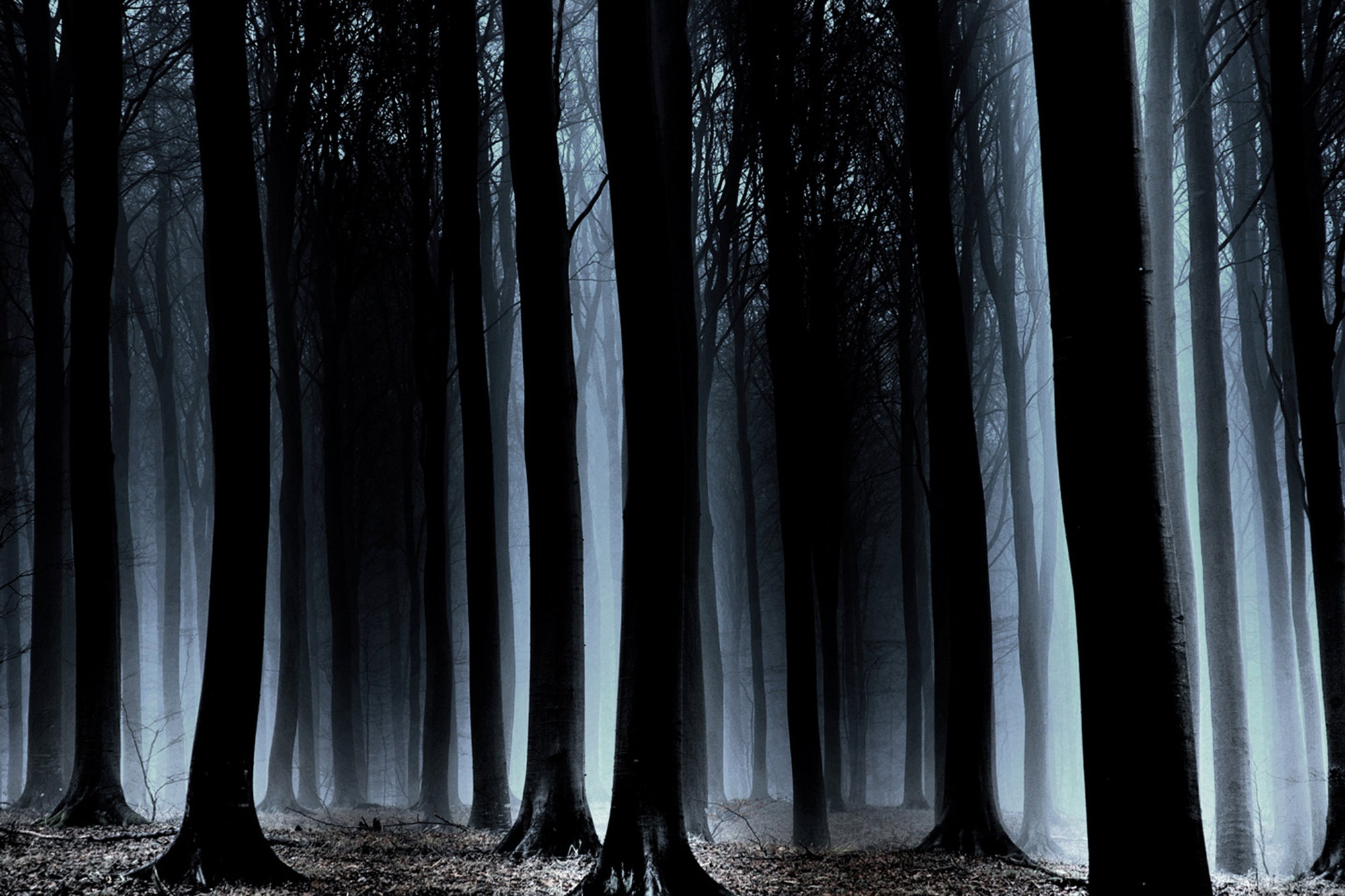 Is there anybody out there