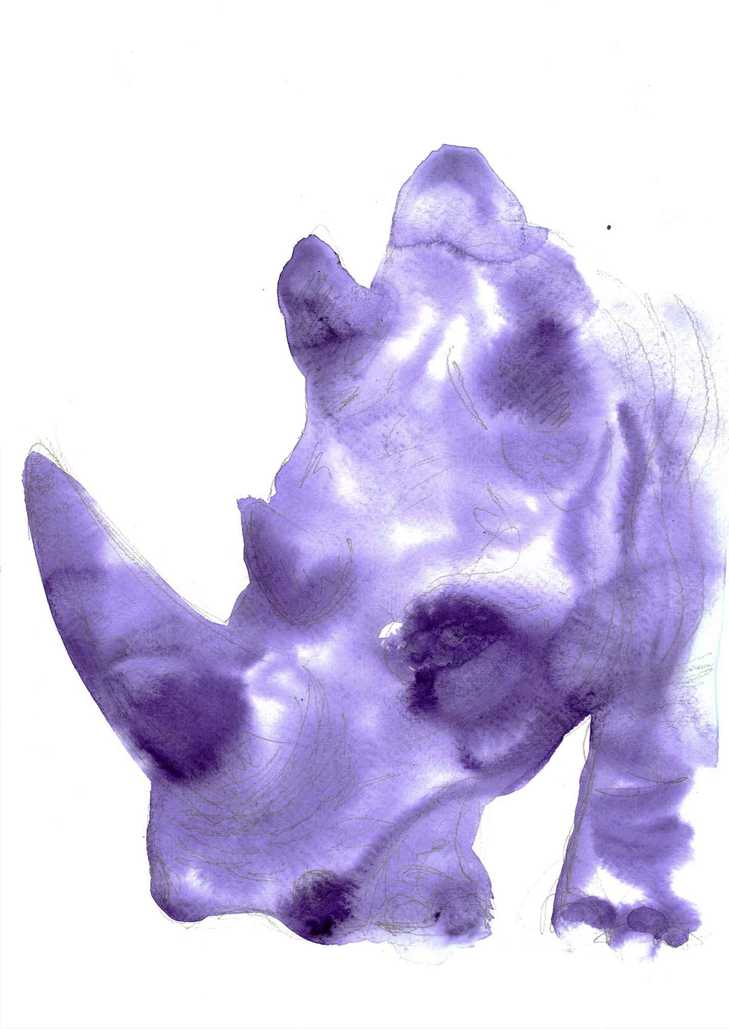 Rhino