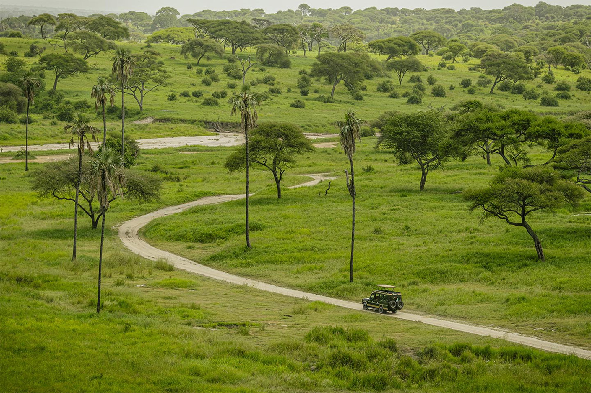Driving into the Wild