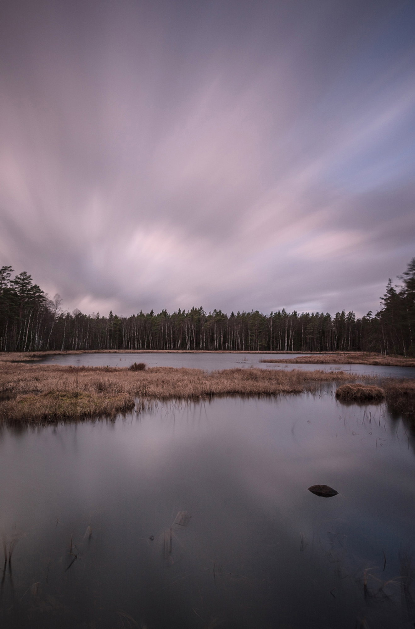 The Tree Line