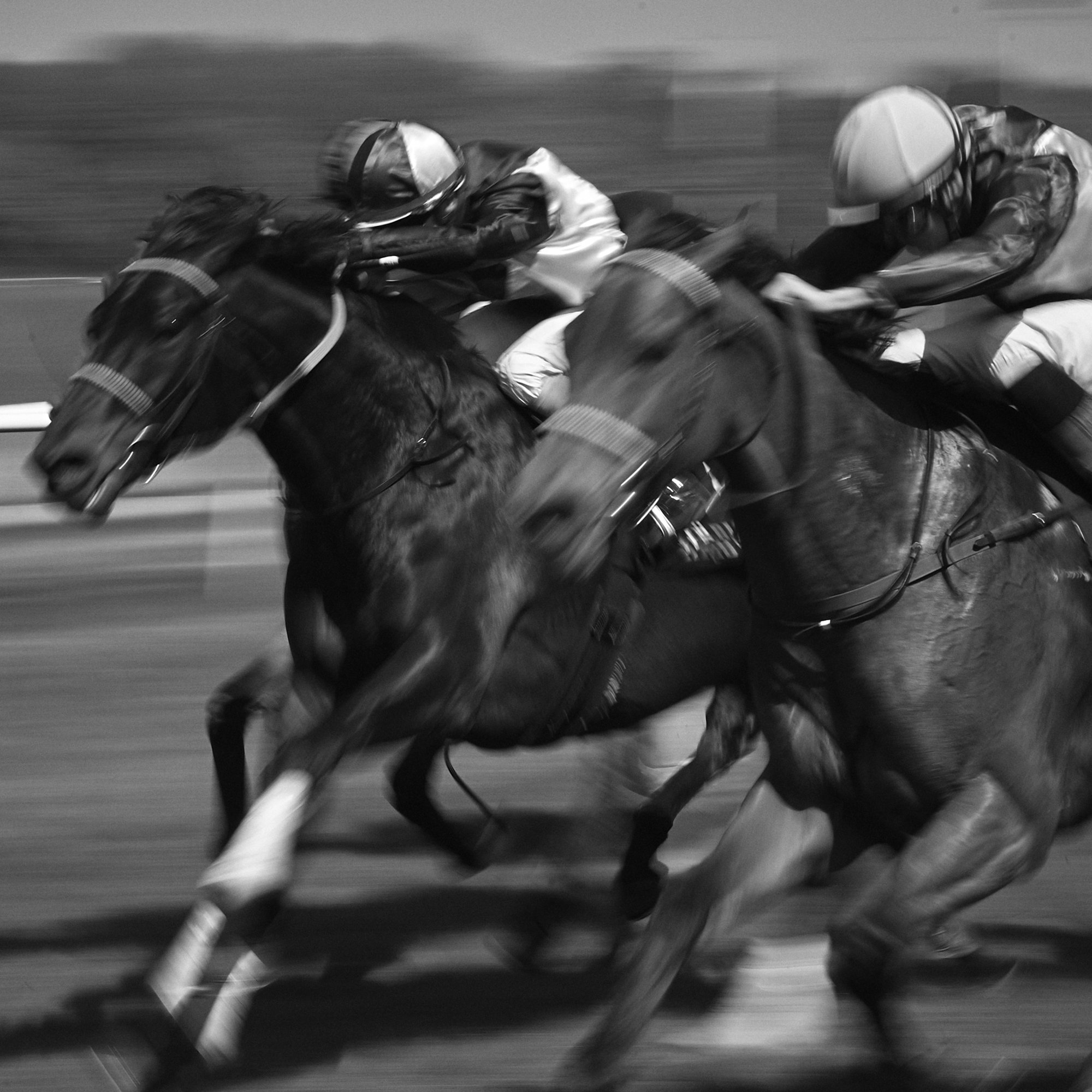 Horse Race
