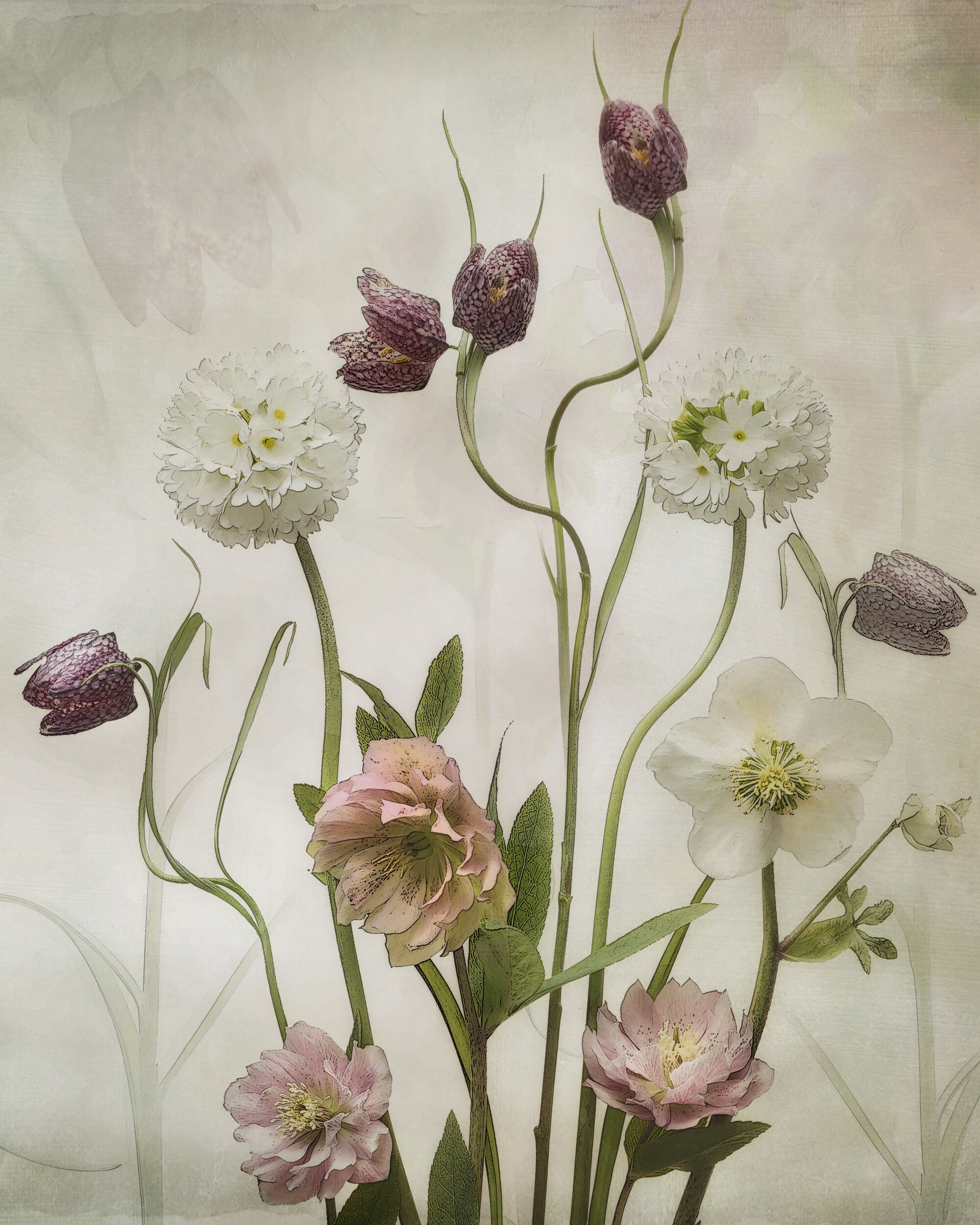 Soft Spring Flowers