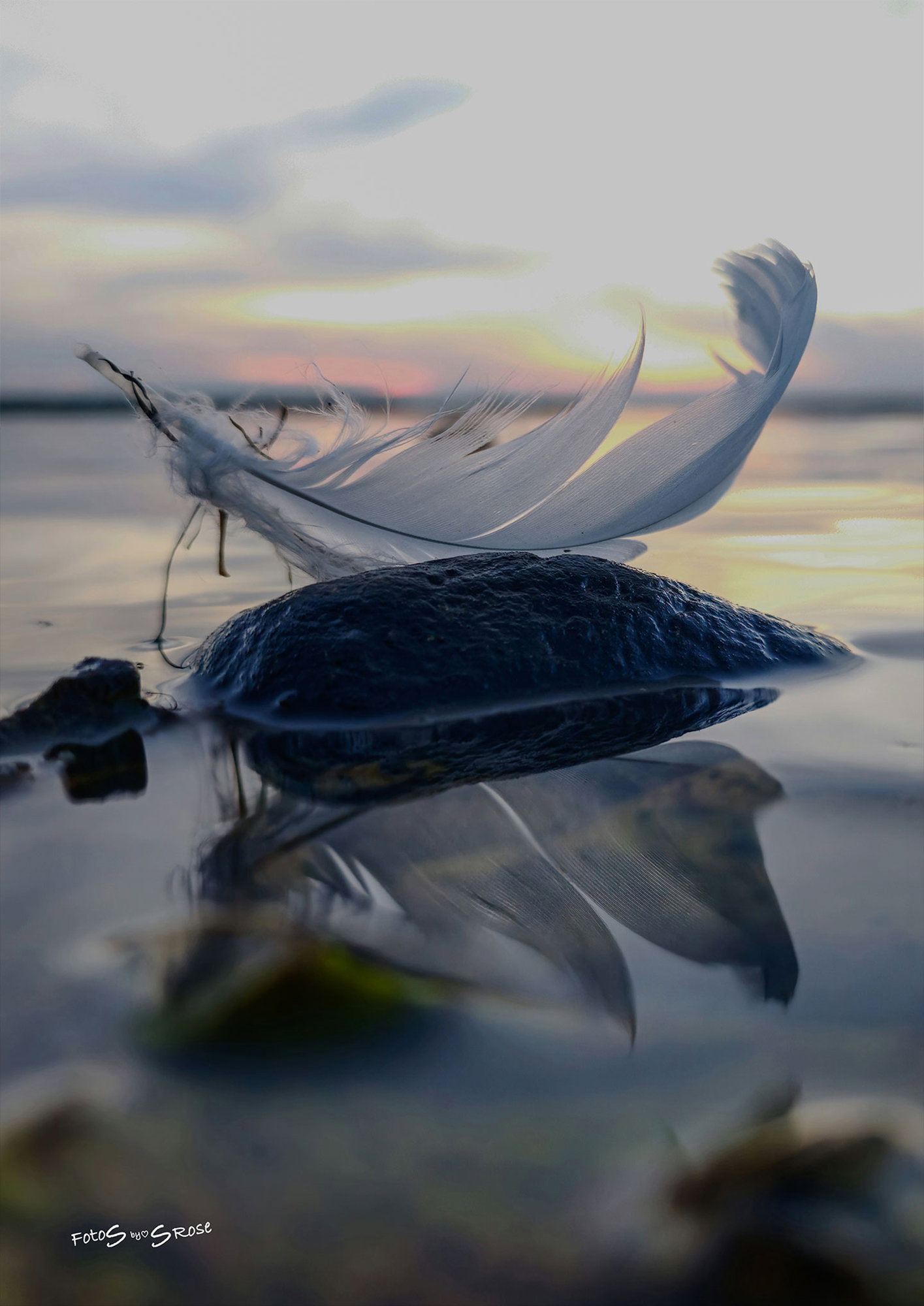 Fjer På Sten I Solnedgang