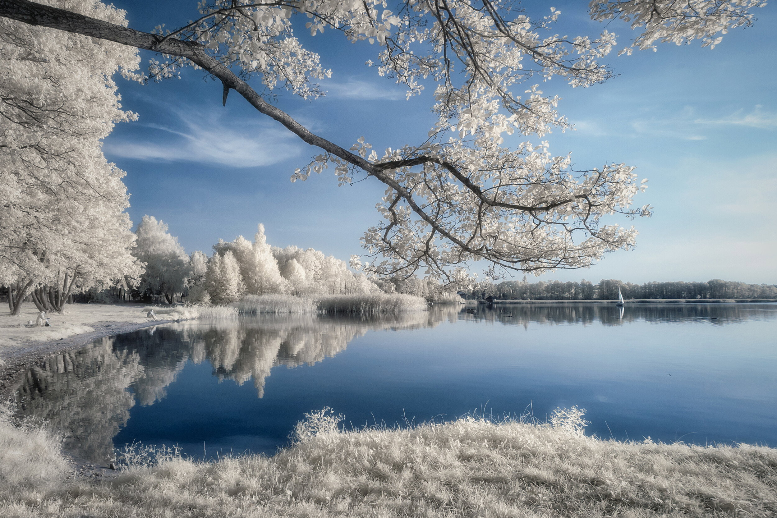 Ethereal Winter Lake Reflection