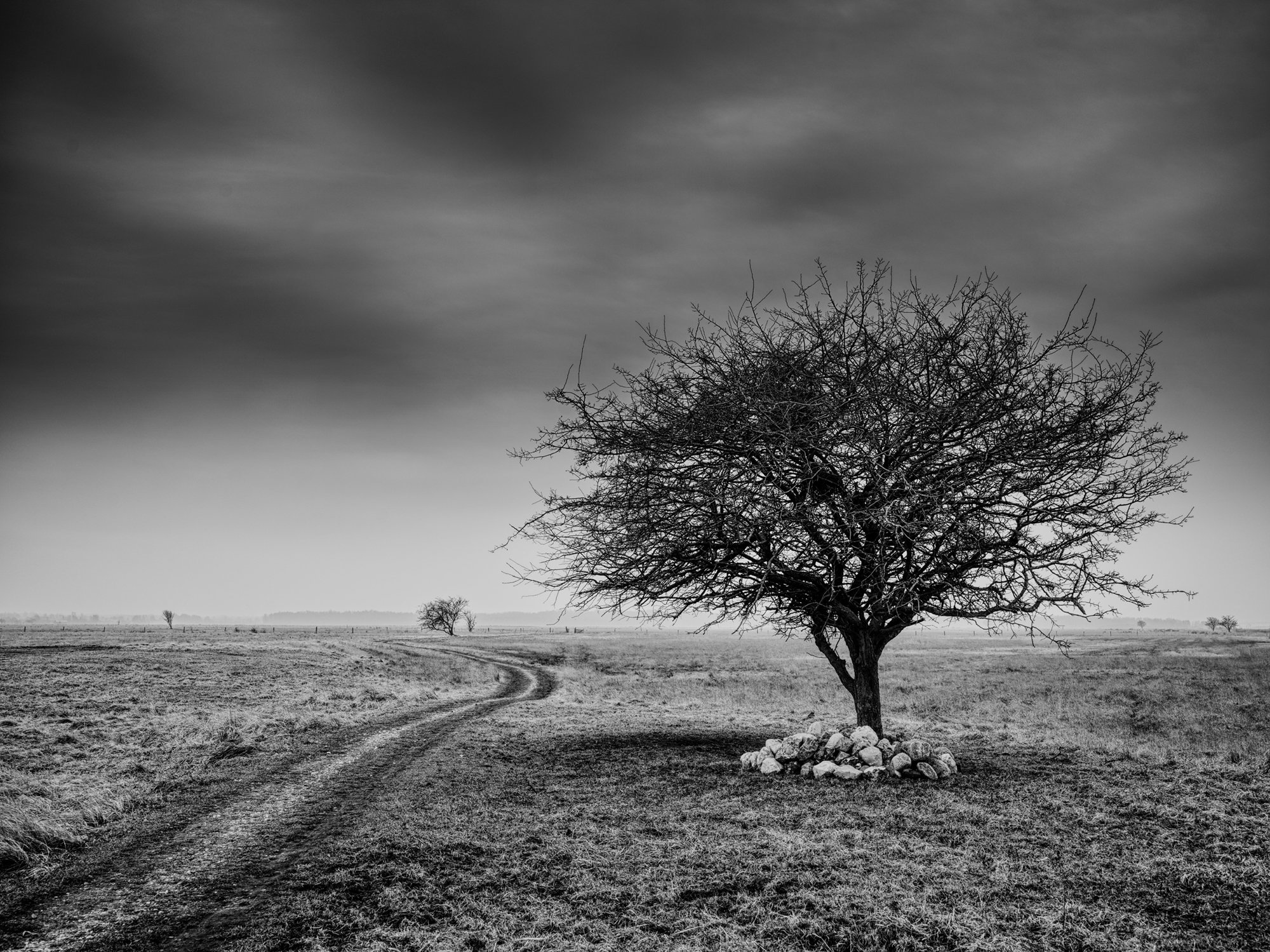 Side of the Road