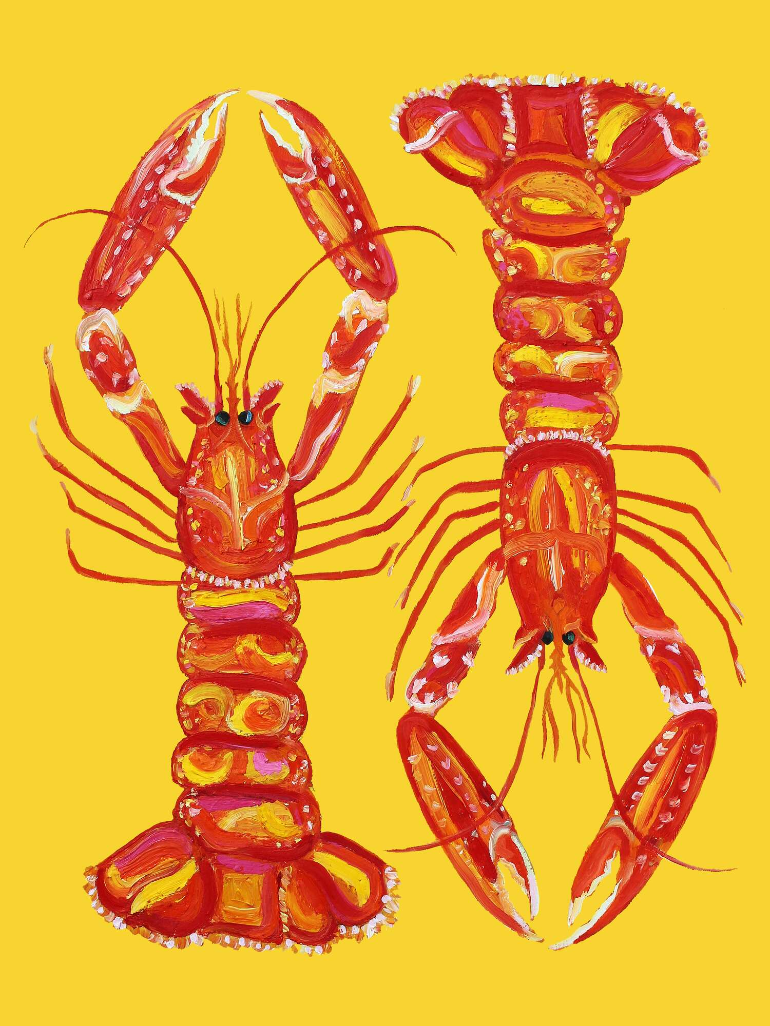 Vibrant Lobster Pair