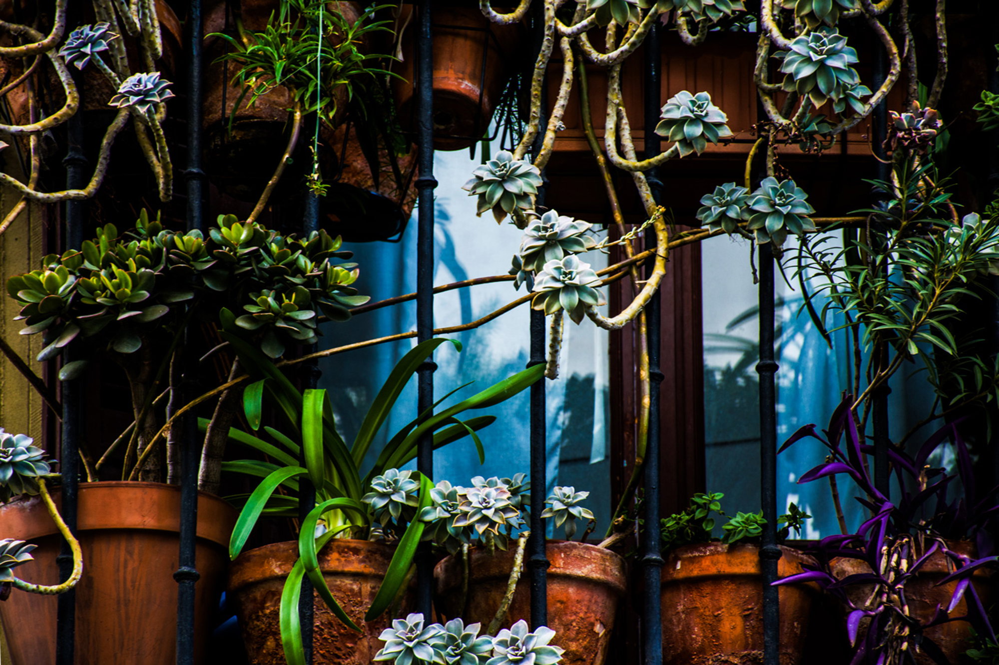 Madrid Balcony