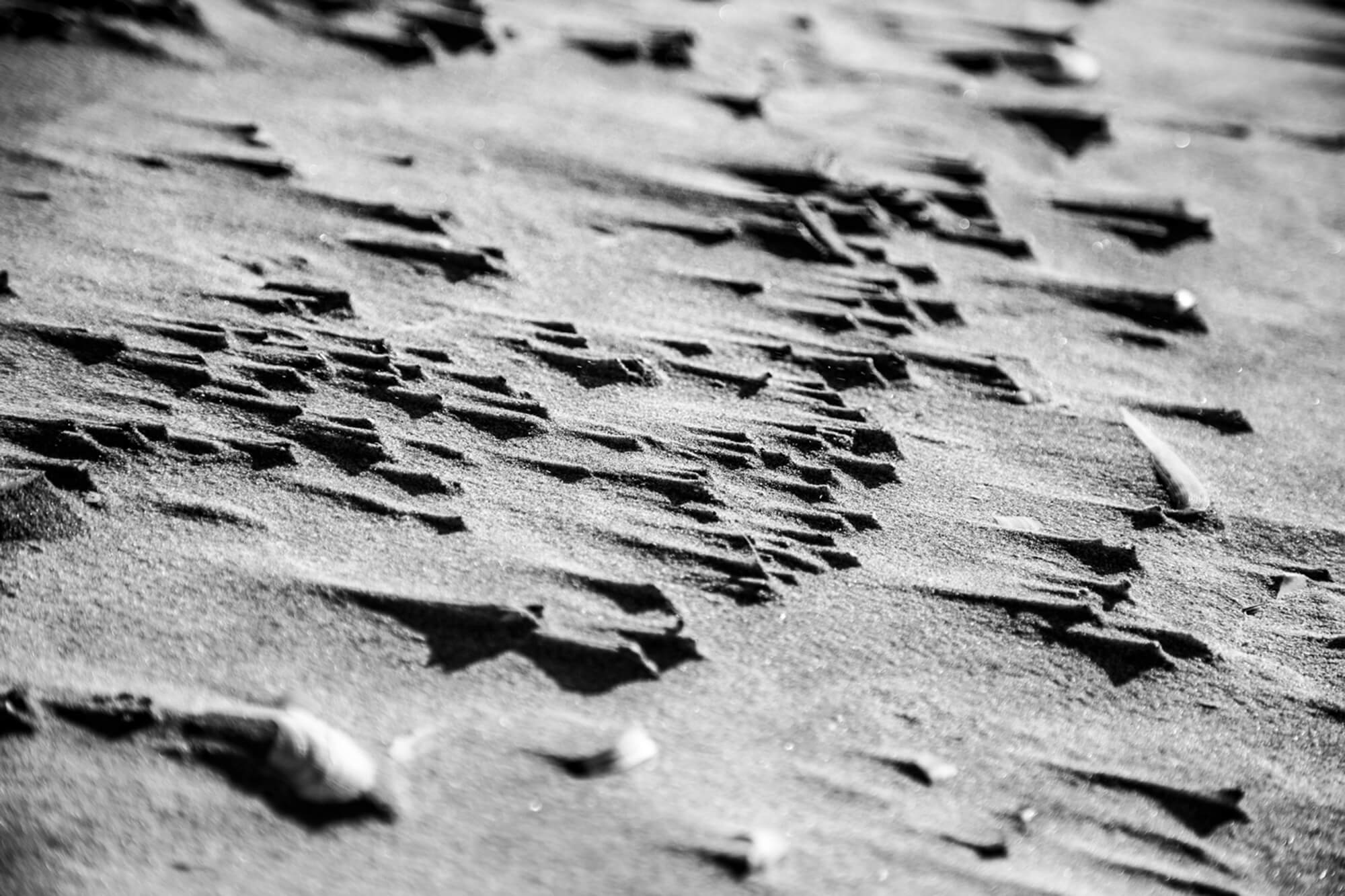 Sand Sails