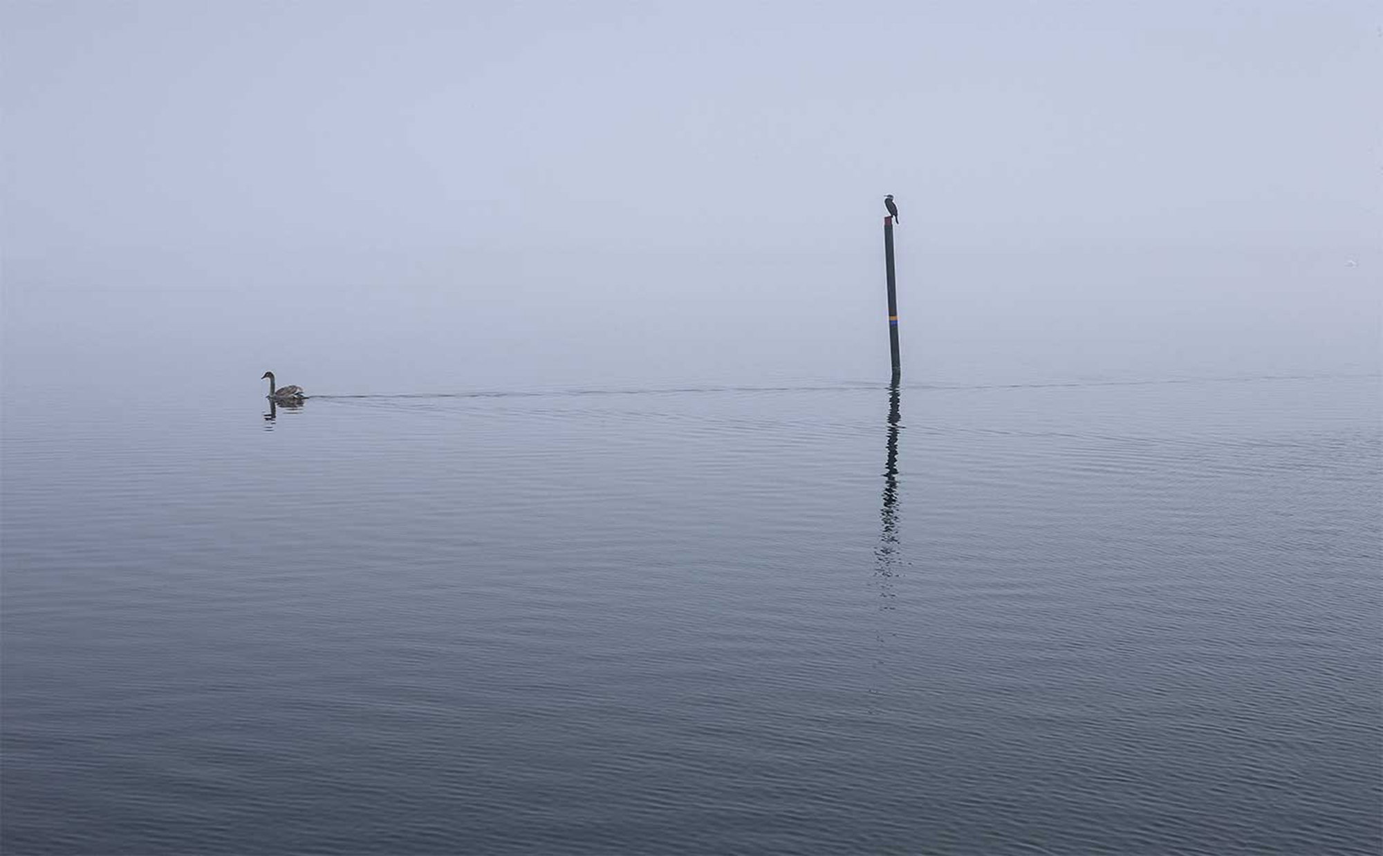 Glænø