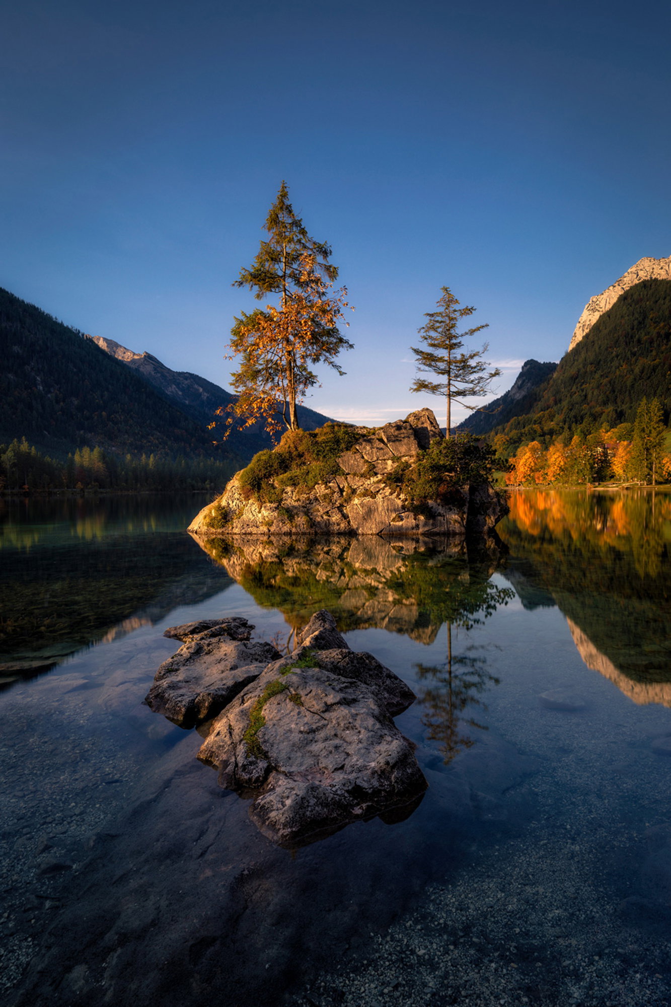 Autumn Colors