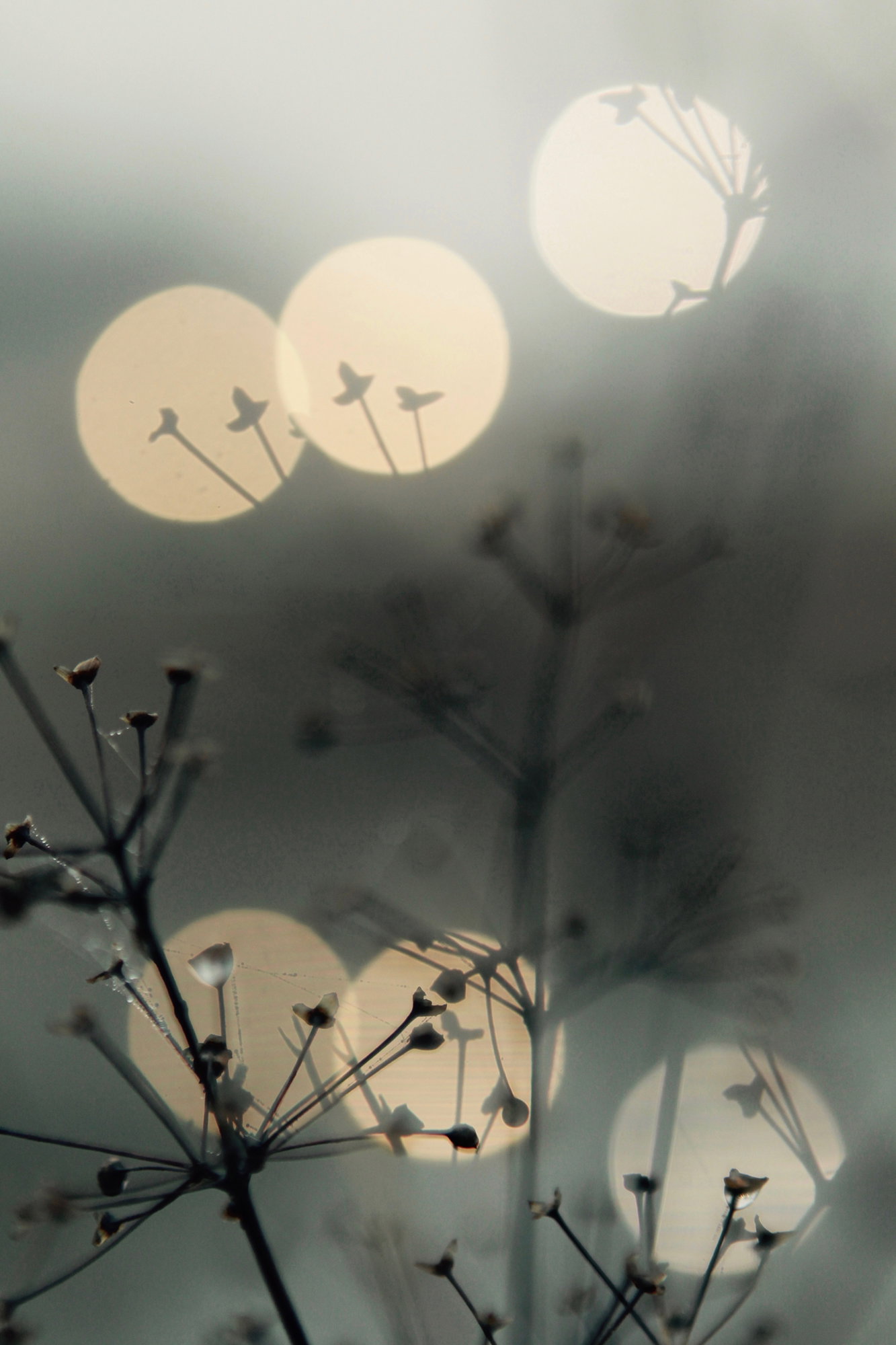 Natur5