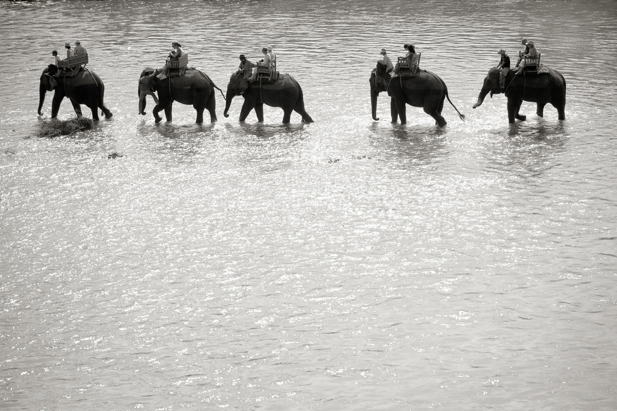 Elephant Ride