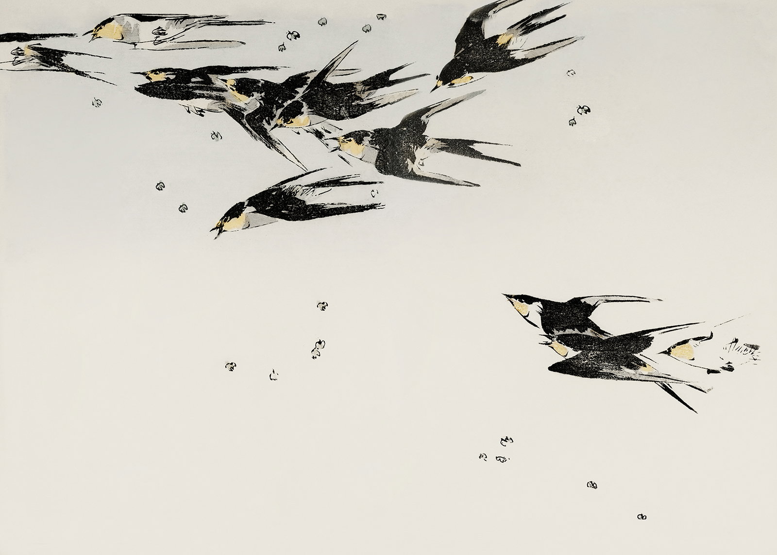 Flying Magpies