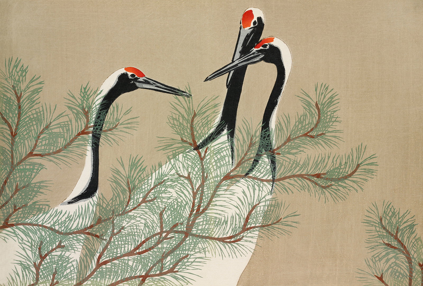 Cranes