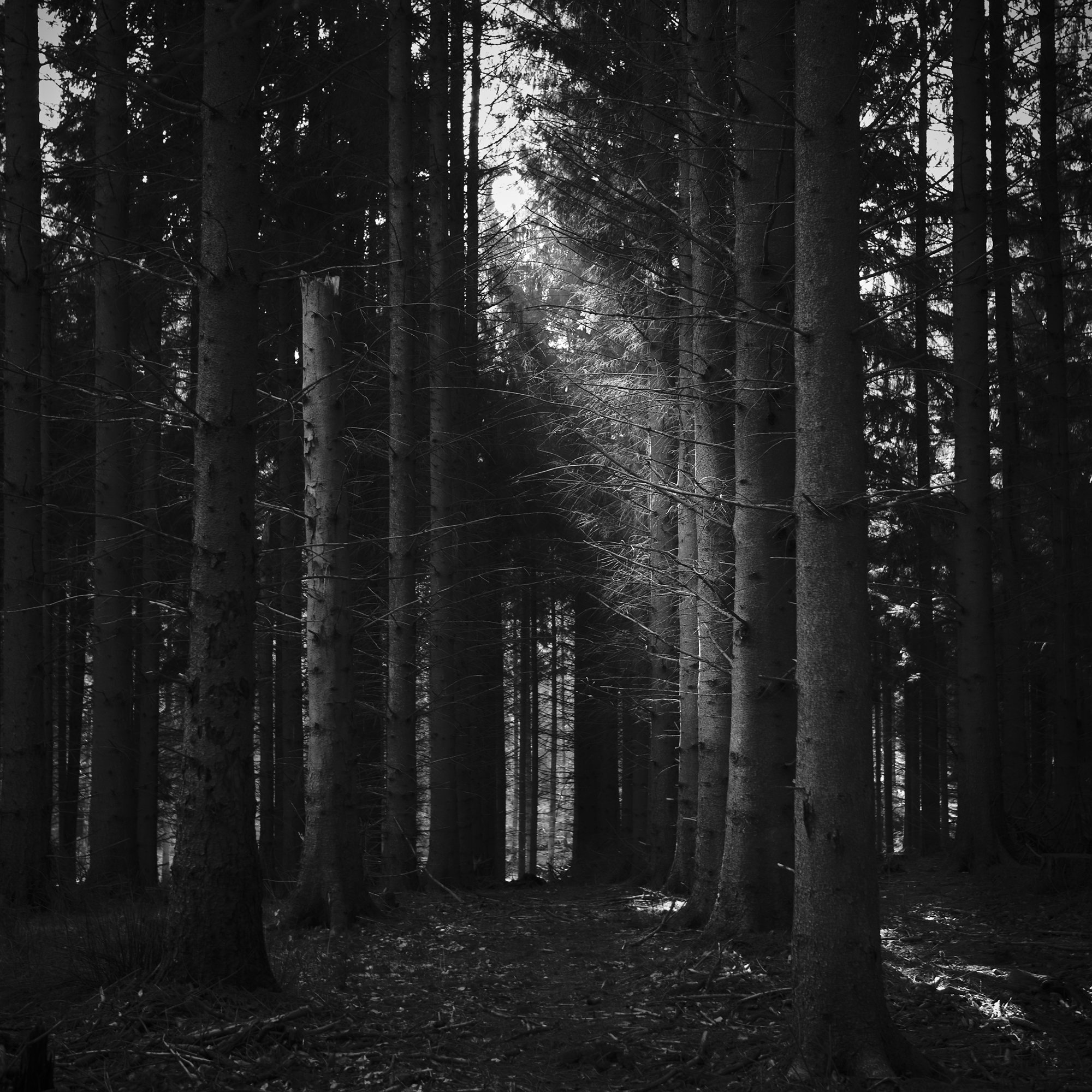 Path